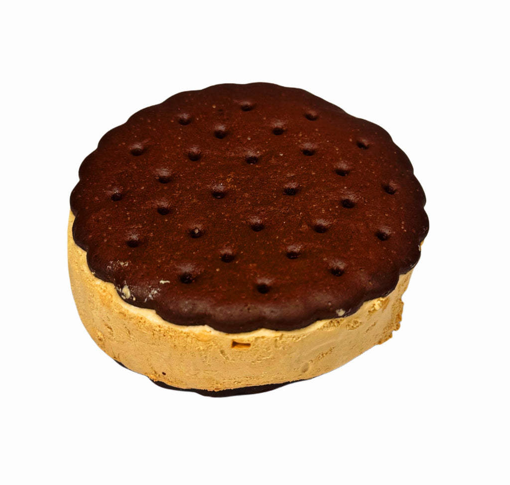 *LIMITED EDITION* REESE'S SPACE SANDWICH
